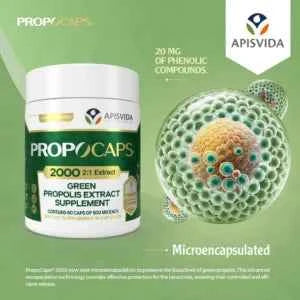 Propocaps 2000 - 60 Capsules with 500mg Each | Feeding Supplement of Propolis Extract in Capsules