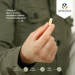 ⁦بروبوكابس 2000- 60 كبسولة – 500 ملغ لكل كبسولة⁩ - الصورة ⁦6⁩